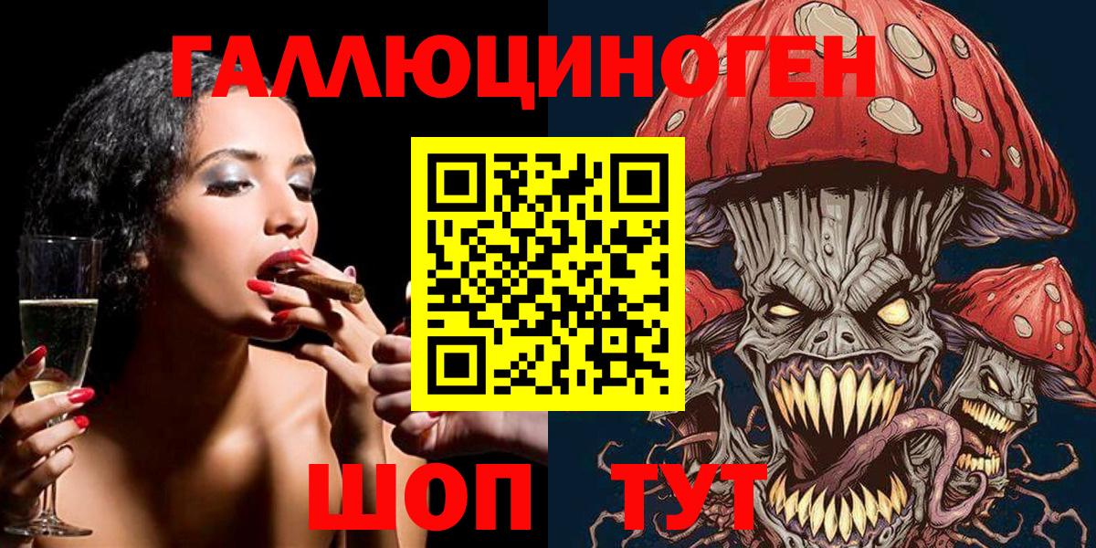 Псилоцибиновые грибы мицелий  Вход с VPN  Новоалтайск 